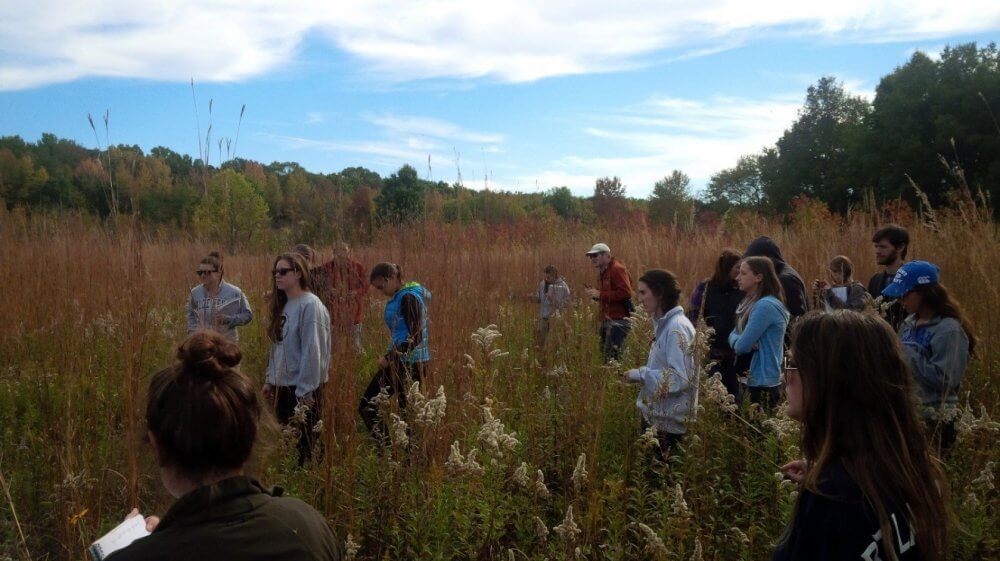 Join With Natural Conservation Groups In Glasgow And Make New Friends