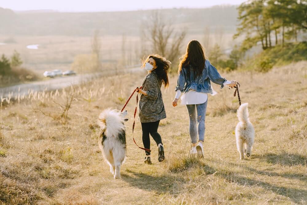 Meet people in Middlesbrough at a dog park