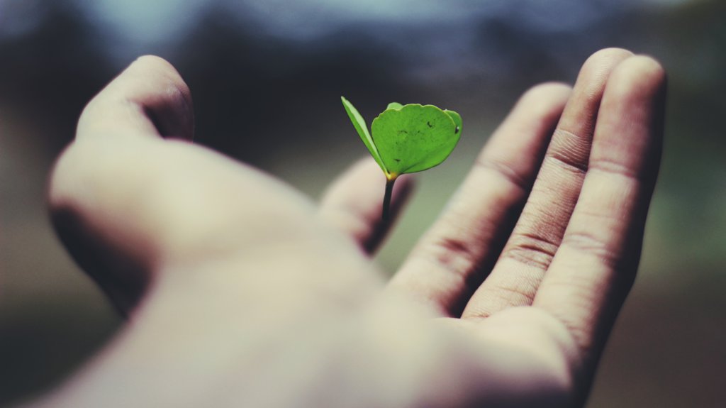 Build A Growth Mindset