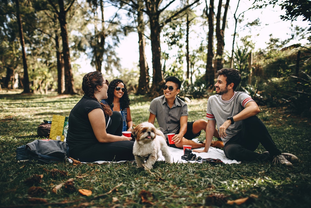 Friends On A Picnic