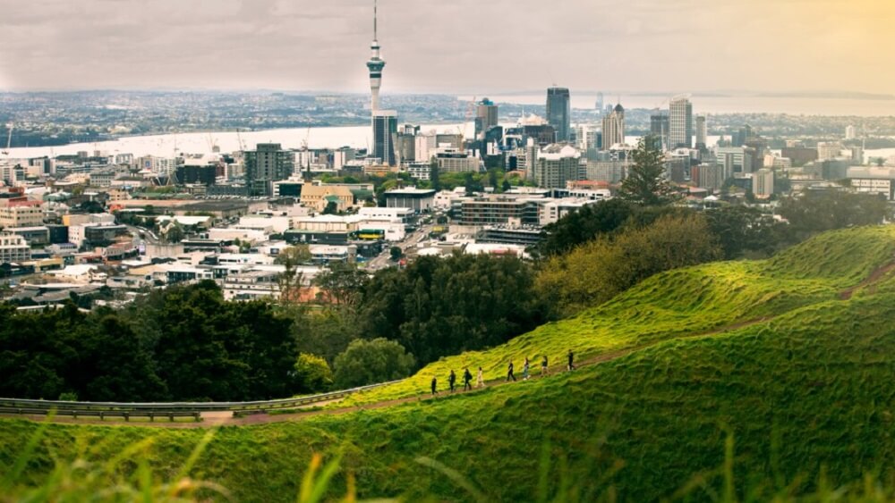 Maori Walking Tour With Auckland Residents