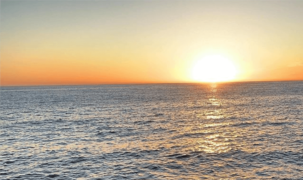 Watch The Sunrise At Bronte Beach